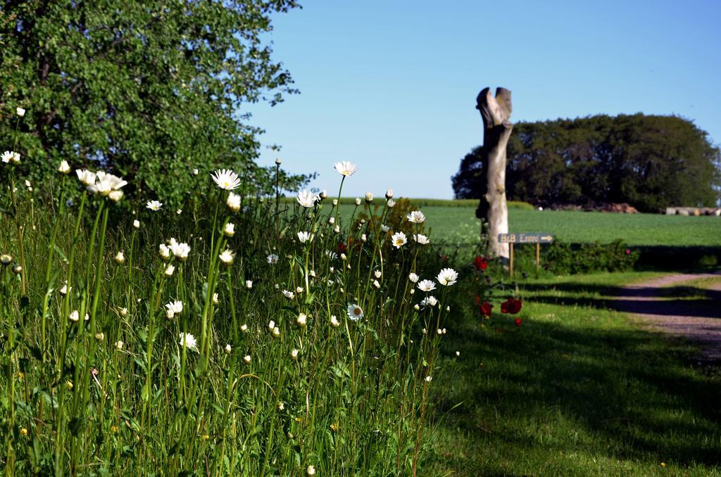 Torsborgs Gård
